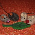 IMG_6294.JPG
